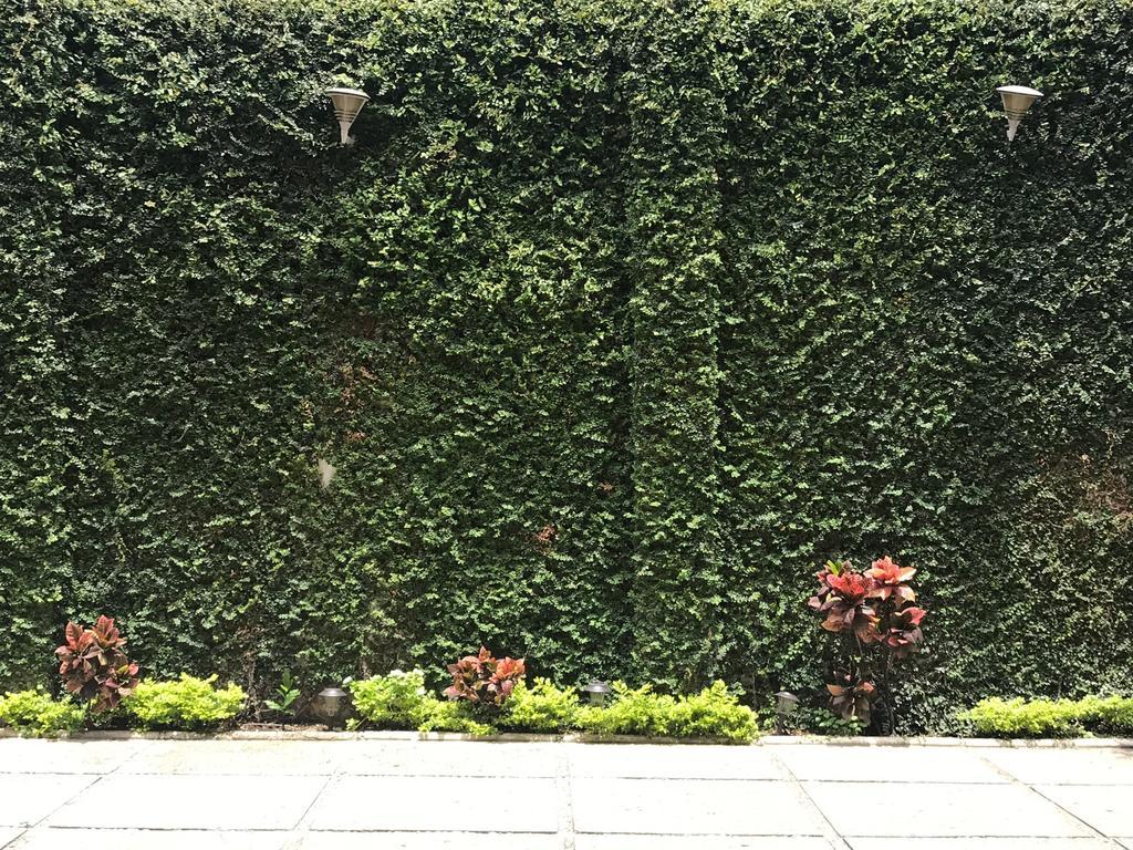 Real Avenida Hotel Tuxtla Gutiérrez Extérieur photo